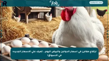 ارتفاع مفاجئ في أسعار الدواجن والبيض اليوم.. تعرف على الأسعار الجديدة في الأسواق!